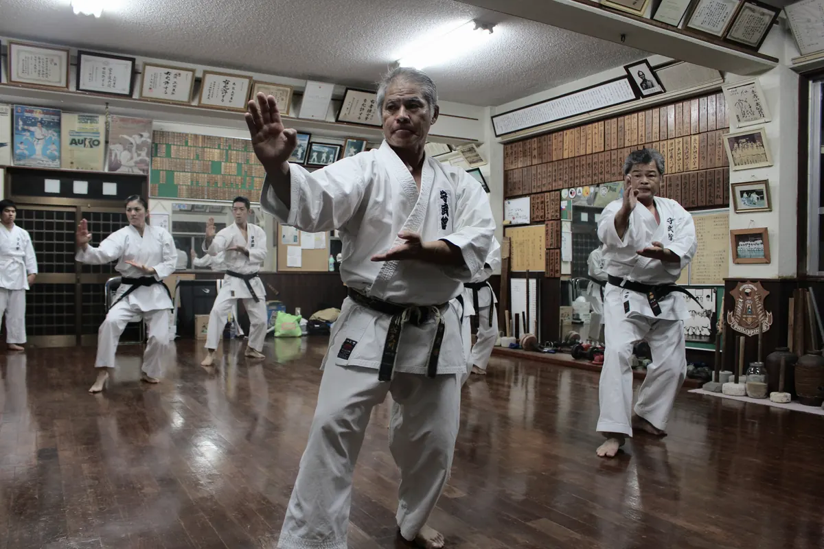 Photo suggesting KARATE is 'Moving Meditation'
